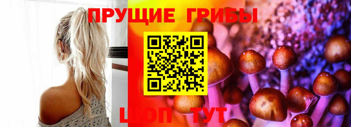 Алексеевка  Псилоцибиновые грибы Magic Shrooms  Вход с VPN  где купить наркоту  Псилоцибиновые грибы Cubensis 